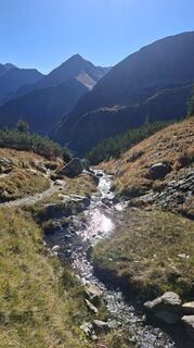 Foto von Fuchs Irene entlang der Tour