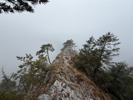Traunstein / Naturfreunde rauf - Mairalm runter