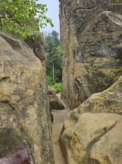 Photo de Martina Gerneck le long du parcours