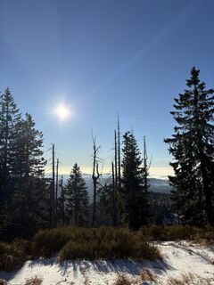 Fotografie z Egon Dullinger na trase