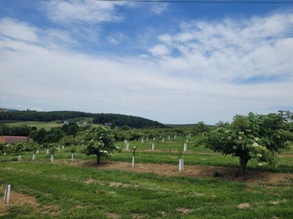 Fotografia z schenkeli na trase