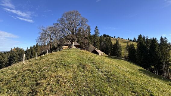Foto von peter_oe entlang der Tour