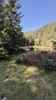Foto de JP a lo largo del recorrido