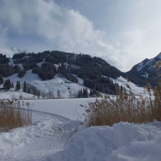 nach Gypsera-Winterwanderung Seerundgang Schwarzsee
