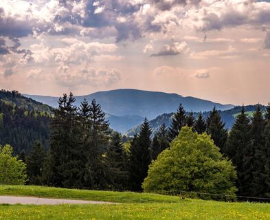 Aussicht nähe Kandel