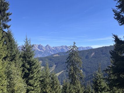 Photo de Michaela Griessner le long du parcours
