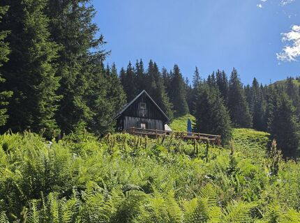 Fotografie z MRDL na trase