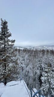 Photo de Ehammann le long du parcours