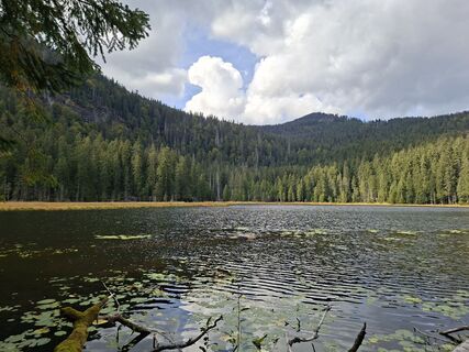 Foto de Sabine Krohn a lo largo del recorrido