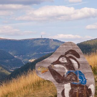 Hasenschild auf dem Zauberweg