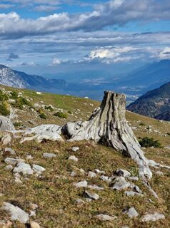 Photo de Wolfgang Unterberger le long du parcours