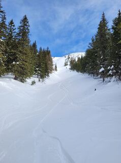 Foto da schenkeli lungo il tour