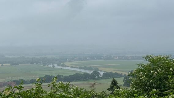 Karta