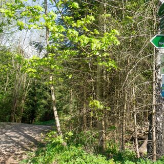 Historische Sportstätten Wanderung bei Oberhof