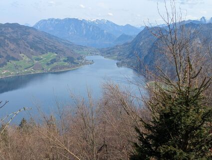 Fotografia z Hiking Hermit na trase