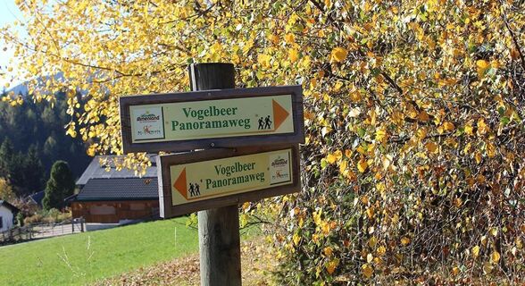 Vogelbeer-Panoramaweg_Naturpark Almenland_Oststeiermark