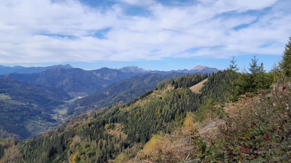 Fotografia z Michael T 3 na trase