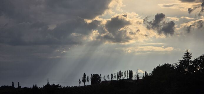 Photo de Clemens Kaminski le long du parcours