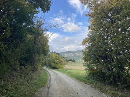 Photo de Reinhard S le long du parcours
