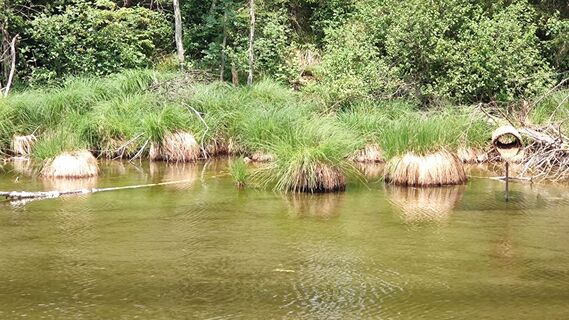 Fotografia z grassler na trase