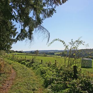 Quirrenbach-Impression