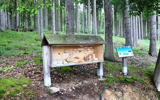Tafel - Pilzerlebnispfad