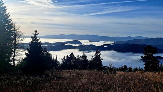 Fotografia z Regina Fleischmann na trase