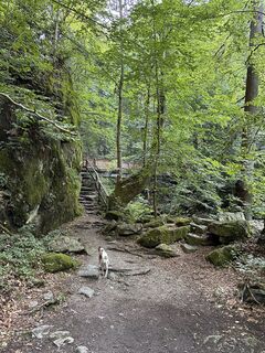 Foto von Babs Holz entlang der Tour