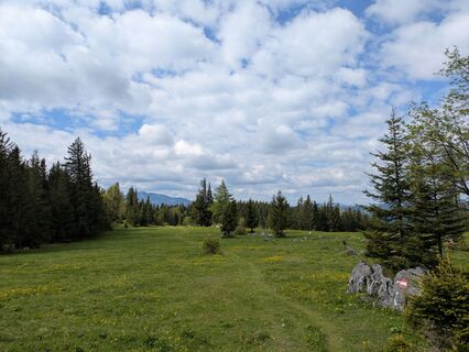 Foto från Michaela Hajszan under resans gång