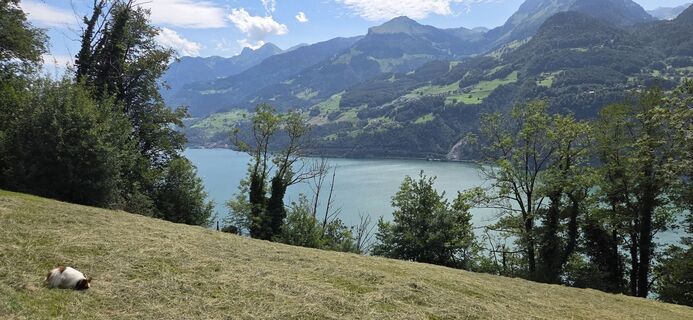 Foto von Manuela Zeidler 1 entlang der Tour