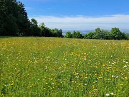 Fotó a Josef Humer honlapról a túra során