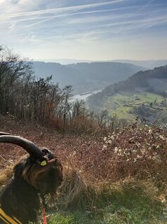 Fotografija s spletne strani Schwartzhox na poti