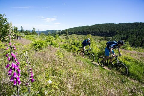 Sauerland MTB