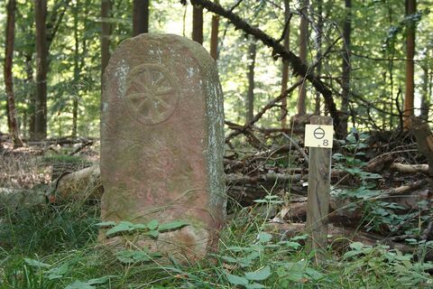 Grenzsteinpfad mit Stein 8 Naumburg Waldeck