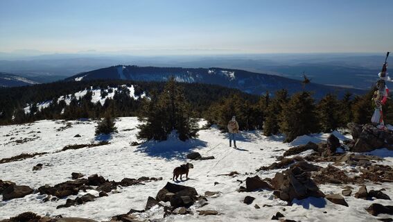 Zdjęcie z István Gábor 1 wzdłuż trasy