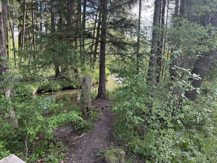 Fotografie z Streichert na trase