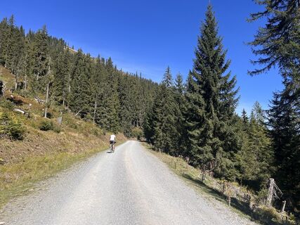 Foto von Michaela Griessner entlang der Tour