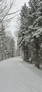 Foto de execute a lo largo del recorrido