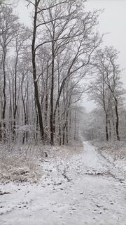 Foto de Katalin Molnár a lo largo del recorrido