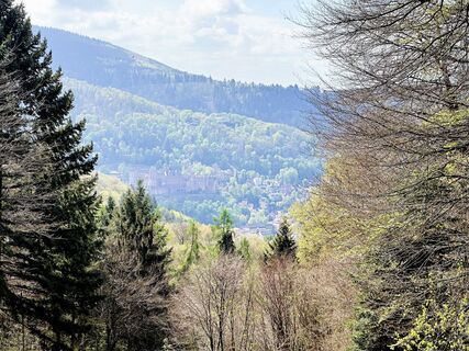 Blick auf das Heidelberger Schloss vom Zollstockbrunnen
