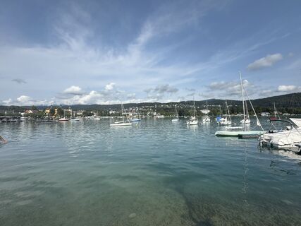 Foto da Gerhard Piglmann lungo il tour