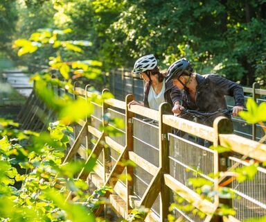 Ruwer-Hochwald-Radweg 2