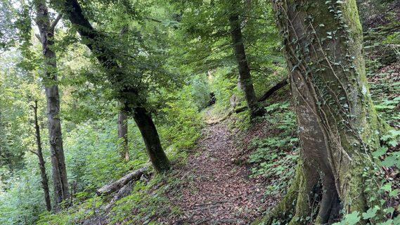 Foto von Sascha Kappeler entlang der Tour