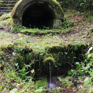 Fürstenbrunnen_RobinFleck