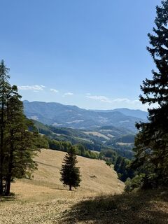 Fotografie z Barbara Schober na trase