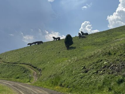 Fotografija s spletne strani Raffaele Modena na poti