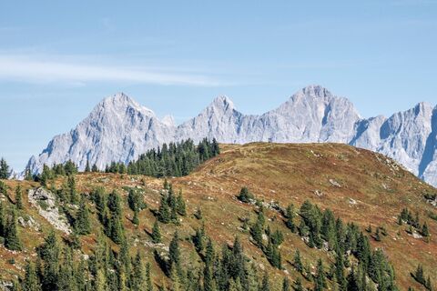 Blick von der Guschen über das Rossfeld zum Dachstein