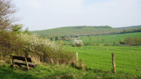 Blick ins Reitlingstal