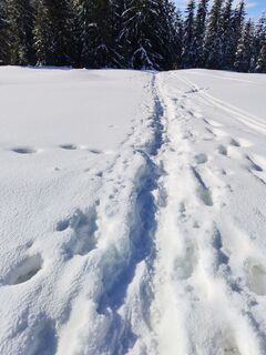 Foto de v.stein a lo largo del recorrido