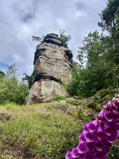 Zemljevid